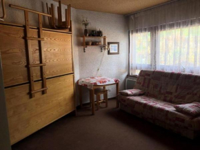 Résidence Maison De L'alpe - APPARTEMENT ALPE D'HUEZ QUARTIER VIEL ALPE MAE-3501 Huez